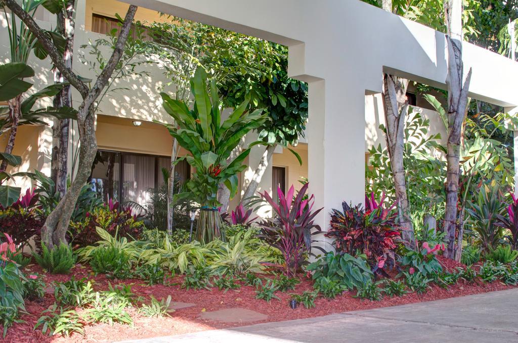 فندق بوكا راتونفي  Boca Plaza المظهر الخارجي الصورة